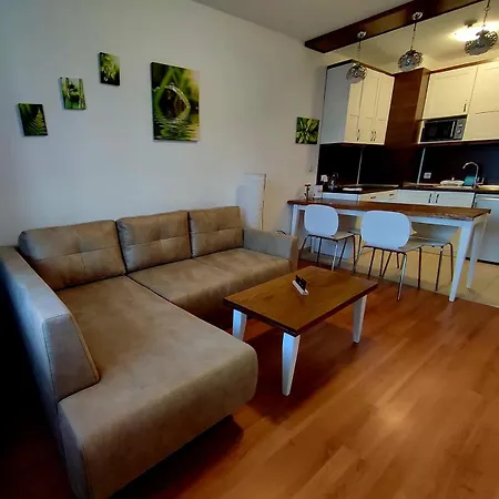 Belvedere Μπάνσκο